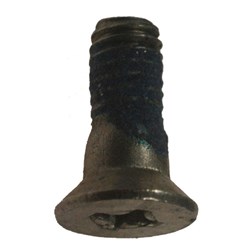 LOCKWOOD COVER PLATE SCREW 3570-5332 SS