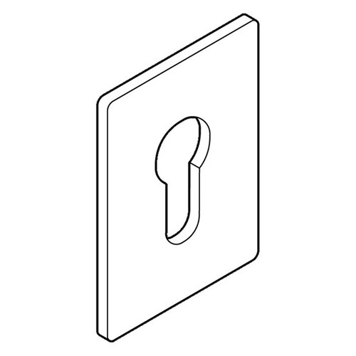 BDS SCAR PLATE SPEUROL LGE EURO with D/S TAPE